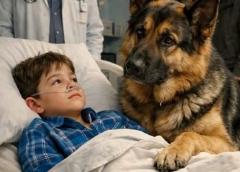 Перед операцией мальчик обнял свою собаку