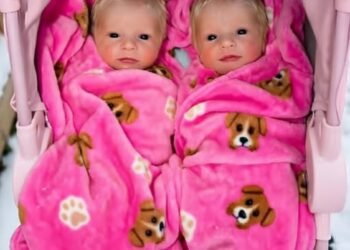 ПРОСТИ, МАМ, Я НЕ МОГ ИХ БРОСИТЬ.