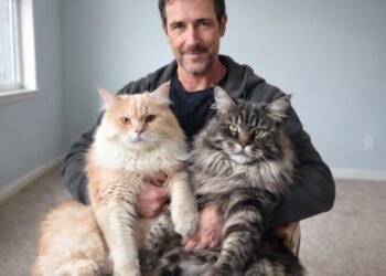 Я решил быть осторожным во всём